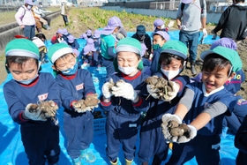 「田能の里芋」の収穫作業を手伝った園児たち＝尼崎市田能６