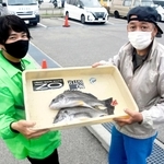 釣りたての魚を武庫川渡船の従業員（左）に手渡す釣り客＝いずれも４月、尼崎市