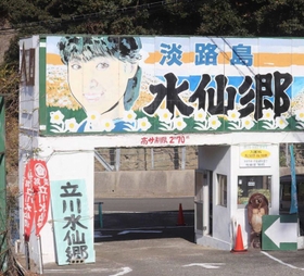 洲本市の「立川水仙郷」