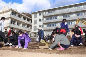 校庭に芝を敷き詰める児童たち＝南あわじ市立沼島小学校