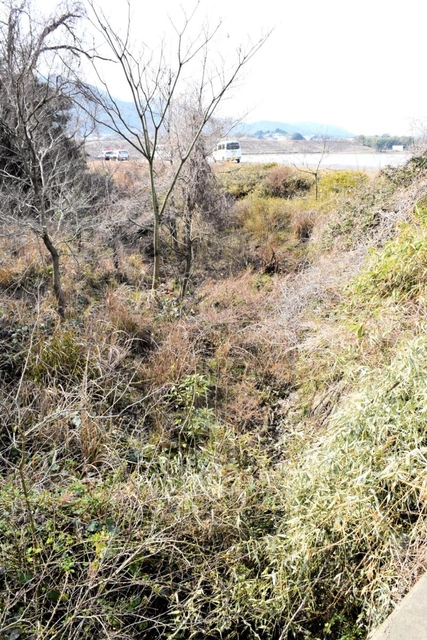 男性がイノシシに引きずり込まれたとみられる用水路