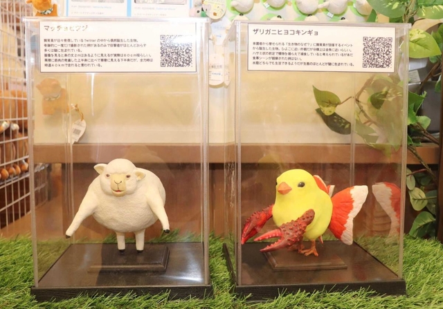 神戸新聞next 淡路 ザリガニヒヨコキンギョ って何 飼育員質問コーナーから生まれた人気者