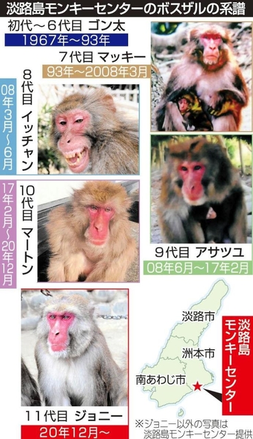神戸新聞ＮＥＸＴ