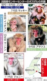 神戸新聞ＮＥＸＴ