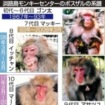 神戸新聞ＮＥＸＴ