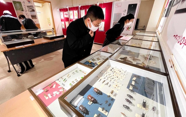 昆虫や植物の標本などが並ぶ常設展示室＝津名高校