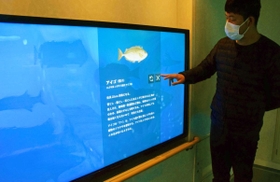 船内に設けられた「デジタル水族館」＝南あわじ市福良