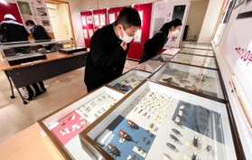 昆虫や植物の標本などが並ぶ常設展示室＝津名高校