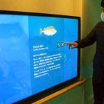 船内に設けられた「デジタル水族館」＝南あわじ市福良