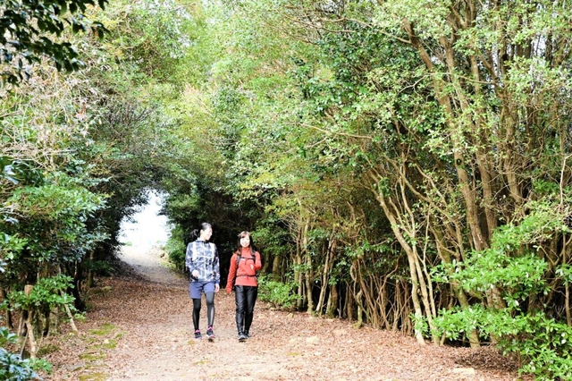 自然に囲まれた南あわじ市内のコース（淡路島観光協会提供）