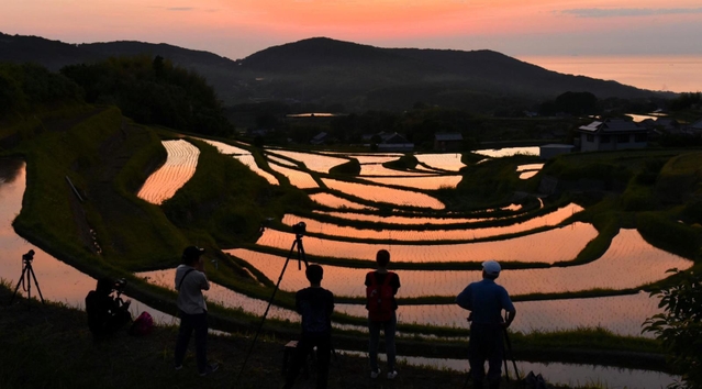 夕焼けが水面に映え、色鮮やかに染まる棚田＝淡路市の生田地区