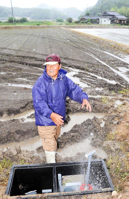 「自然圧パイプライン」のバルブをひねり、水が入る田んぼ＝洲本市五色町都志大宮