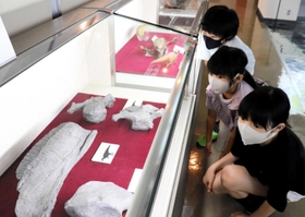 ヤマトサウルス・イザナギイの化石レプリカなどが並ぶ展示＝淡路文化史料館