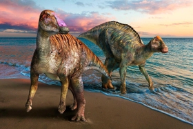 洲本市で化石が発見されたヤマトサウルス・イザナギイ（左）と、同時代の北海道に生息していたとされるカムイサウルス（右）の復元画（（ｃ）服部雅人）
