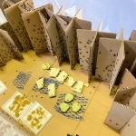 お手製の「スズムシマンション」。成長すれば土を入れた別のケースに移す＝淡路市内