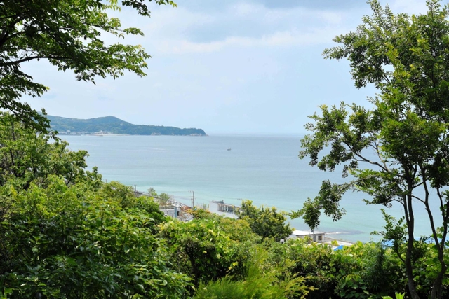 木立の向こうに広がる瀬戸内海＝淡路市尾崎