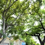 高台の空き家を改修し、カフェやエステを開業した松井さん夫妻＝淡路市尾崎