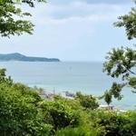 木立の向こうに広がる瀬戸内海＝淡路市尾崎