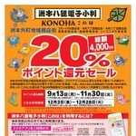 ポイント還元キャンペーンのチラシ（洲本外町地域まちなか再生協議会事務局提供）