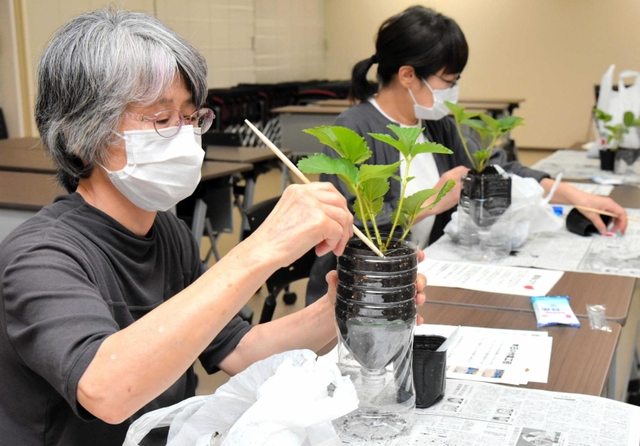 神戸新聞next 淡路 ペットボトル再利用しイチゴ栽培 園芸療法の体験会 洲本