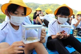 打越池の生物を観察する児童ら＝淡路市大町上