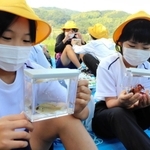 打越池の生物を観察する児童ら＝淡路市大町上