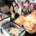 フードドライブで南あわじ市役所に集まった米や野菜＝南あわじ市市善光寺