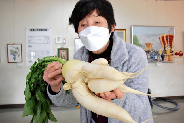 １２股のダイコンを持つ山形澄子さん＝南あわじ市賀集