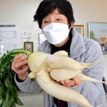１２股のダイコンを持つ山形澄子さん＝南あわじ市賀集