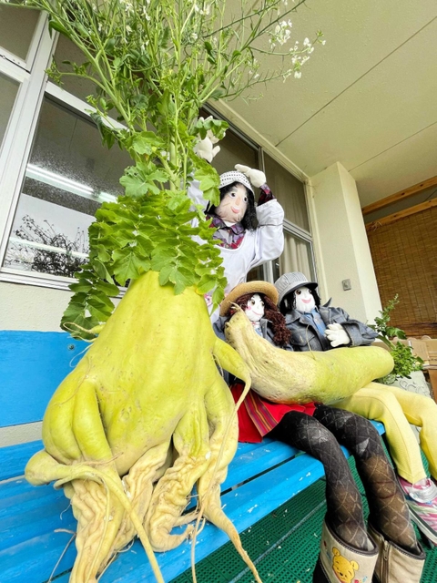 何に見える？　奇妙な形をした特大のダイコン＝尾崎ガーデンズ