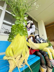 何に見える？　奇妙な形をした特大のダイコン＝尾崎ガーデンズ