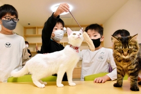 施設説明会で猫と遊ぶ子どもたち＝県動物愛護センター淡路支所