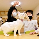 施設説明会で猫と遊ぶ子どもたち＝県動物愛護センター淡路支所