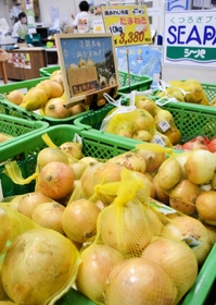 価格が高騰しているタマネギ＝南あわじ市湊