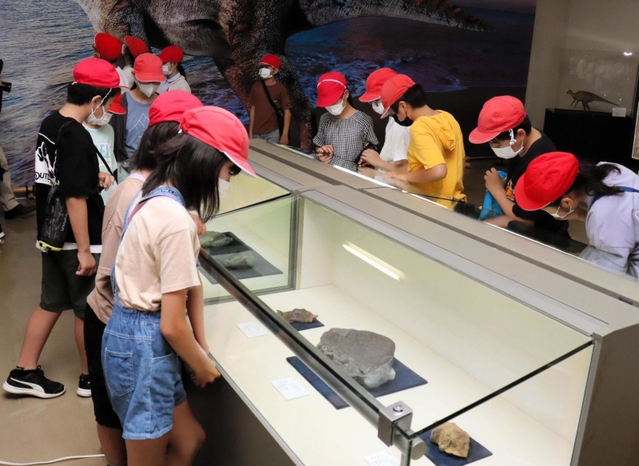 恐竜以外にもさまざまな化石が並ぶ＝淡路文化史料館