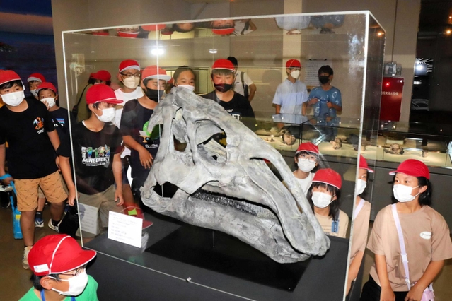 ヤマトサウルス・イザナギイの頭骨の復元模型を眺める児童＝淡路文化史料館