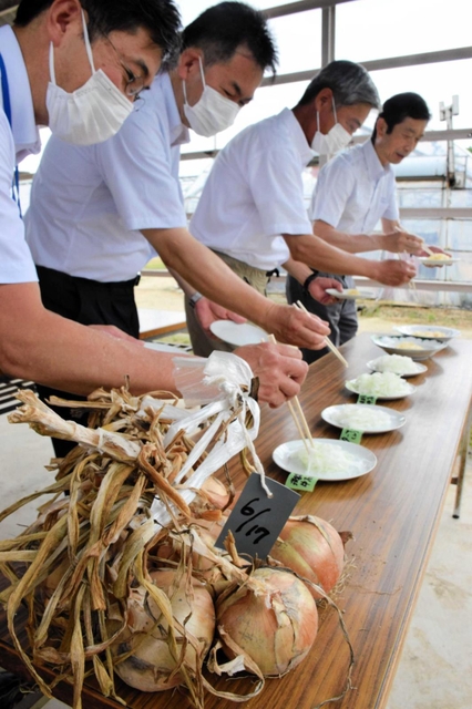 宇宙に行った淡路島産タマネギの栽培収穫報告会で、試食に臨む関係者＝南あわじ市八木養宜中