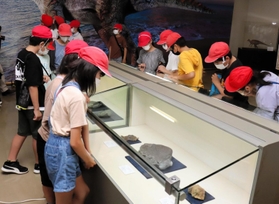 恐竜以外にもさまざまな化石が並ぶ＝淡路文化史料館