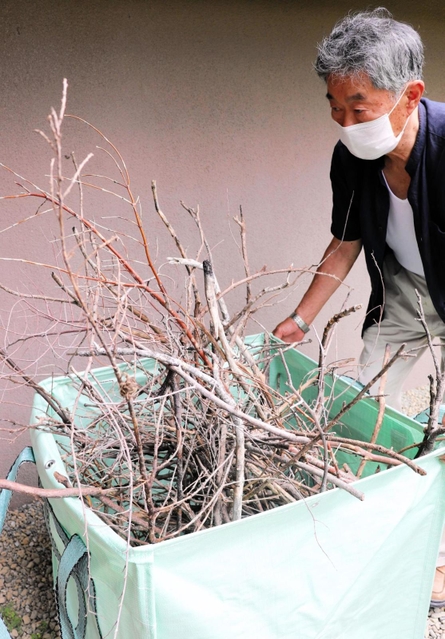 落下した木の枝を保管する地元の石井廣志さん＝淡路市内