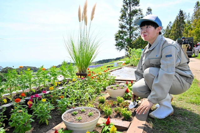 秋らしい草花を集めた庭づくりに取り組む淡路高校の原明日美さん＝あわじ花さじき