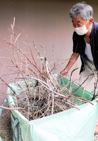 落下した木の枝を保管する地元の石井廣志さん＝淡路市内