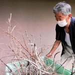 落下した木の枝を保管する地元の石井廣志さん＝淡路市内