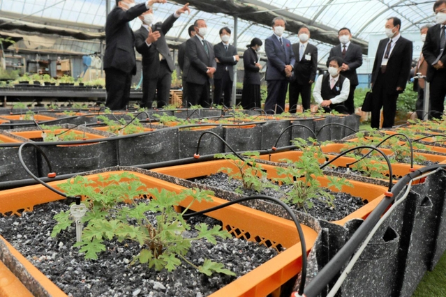 リサイクル培地で育つハーブ＝パルシェ香りの館