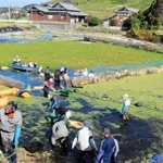 遮光シートを張れていない中央部の駆除作業に取りかかる参加者＝本田池