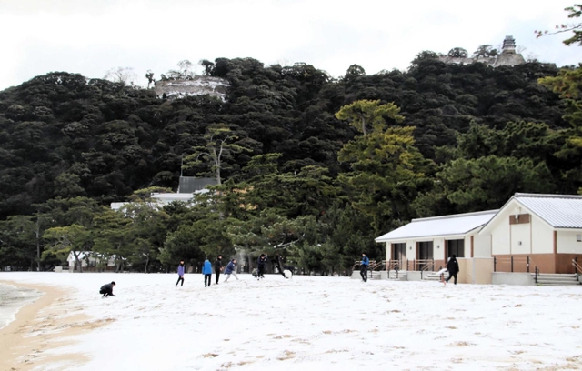 雪化粧の大浜海岸＝２５日朝、洲本市海岸通１