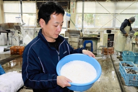 貝殻から削り出し、研磨と選別を終えた真珠核を持つ境秀記社長＝境製核所