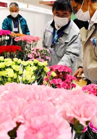 花の育成状況を確認する審査員＝淡路市志筑新島