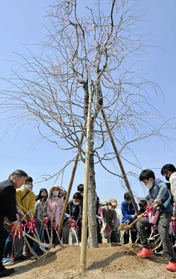 シダレザクラを植樹する地元の子どもたちと関係者ら＝洲本市塩屋１