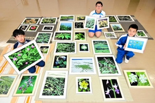南光重毅さんの特集展示に向け写真を整理する中学生＝淡路文化史料館