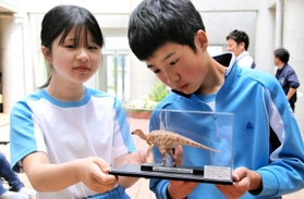 ヤマトサウルス・イザナギイの復元フィギュアを眺める由良小の児童＝由良小学校